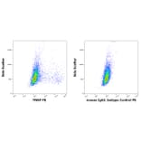 Flow Cytometry - Anti-Alkaline Phosphatase Antibody [W8B2B10] (PE) (A121836)