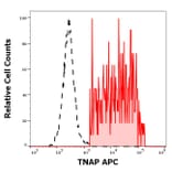 Flow Cytometry - Anti-Alkaline Phosphatase Antibody [W8B2B10] (APC) (A121846)