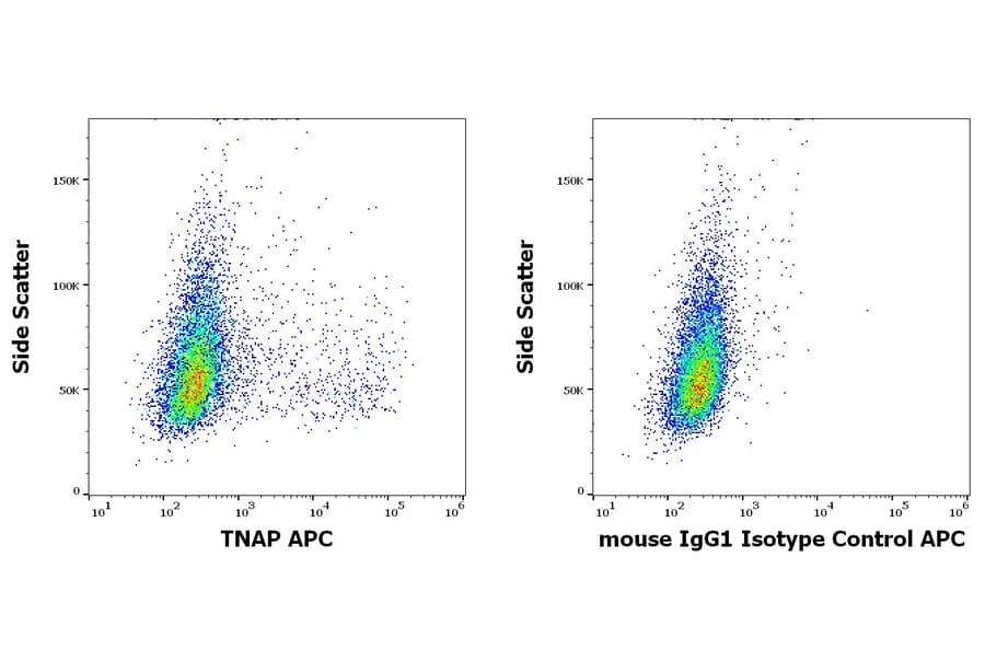 Flow Cytometry - Anti-Alkaline Phosphatase Antibody [W8B2B10] (APC) (A121846)