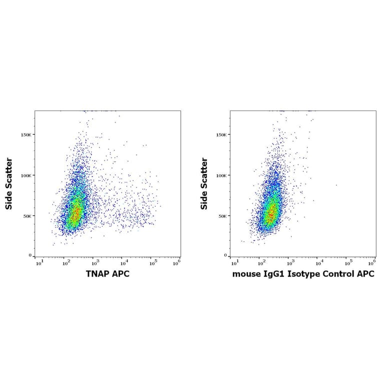Flow Cytometry - Anti-Alkaline Phosphatase Antibody [W8B2B10] (APC) (A121846)