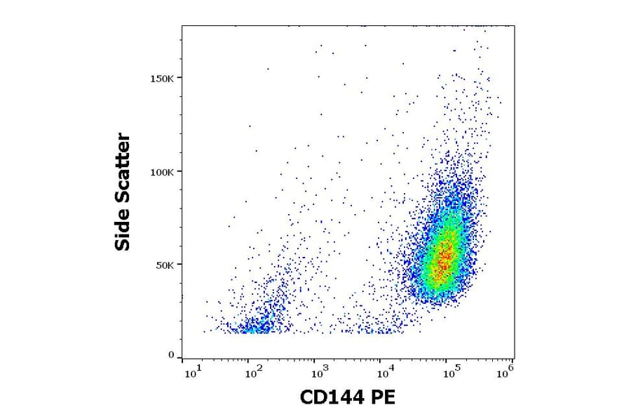 Anti-VE Cadherin Antibody [55-7H1] (PE) (A121858) - Flow cytometry