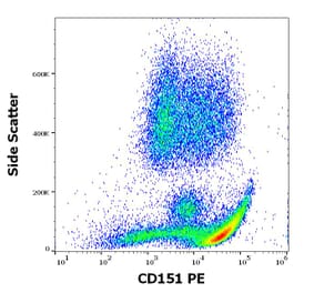 Flow Cytometry - Anti-CD151 Antibody [50-6] (PE) (A121860)