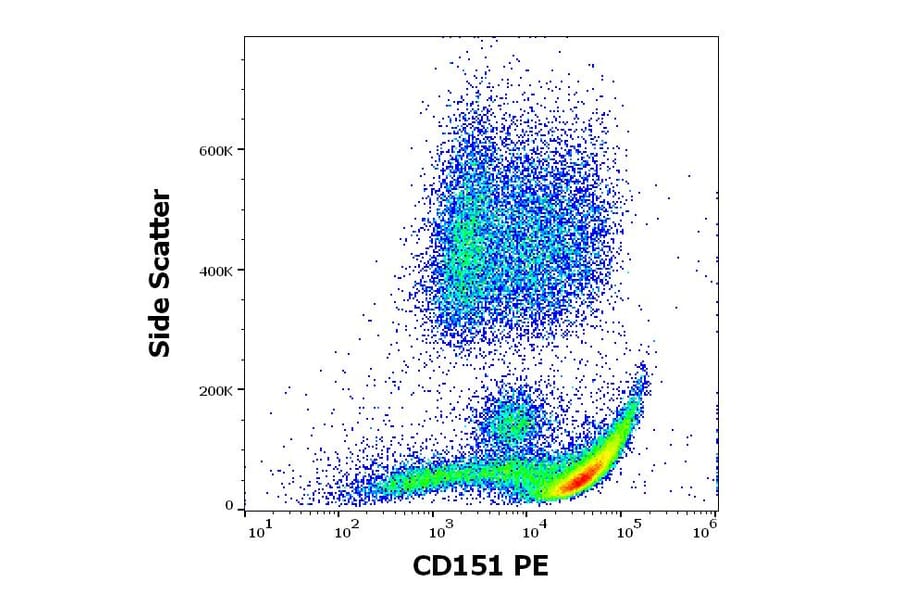 Flow Cytometry - Anti-CD151 Antibody [50-6] (PE) (A121860)