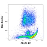 Flow Cytometry - Anti-CD151 Antibody [50-6] (PE) (A121860)