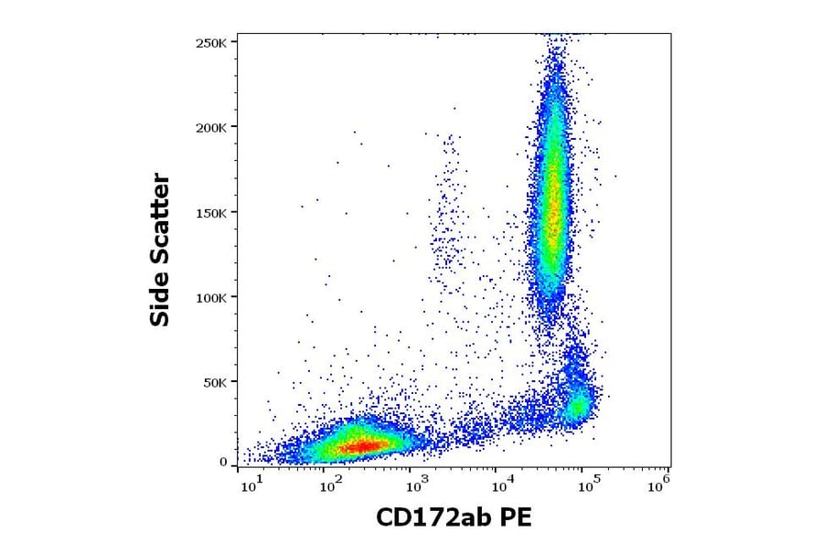 Flow Cytometry - Anti-SIRP alpha + SIRPB1 Antibody [SE5A5] (PE) (A121864)