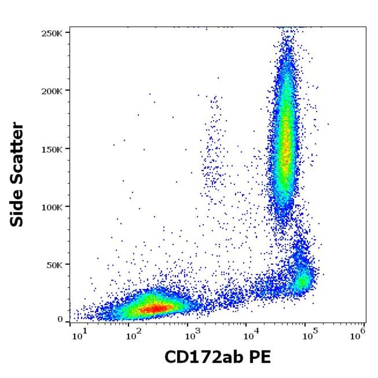 Flow Cytometry - Anti-SIRP alpha + SIRPB1 Antibody [SE5A5] (PE) (A121864)