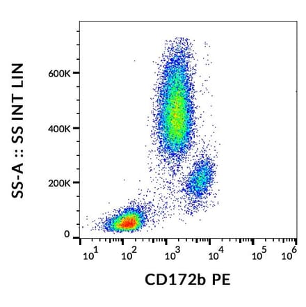 Flow Cytometry - Anti-CD172b Antibody [B4B6] (PE) (A121864) - Antibodies.com