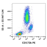 Flow Cytometry - Anti-CD172b Antibody [B4B6] (PE) (A121864) - Antibodies.com