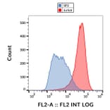 Flow Cytometry - Anti-TALLA-1 Antibody [B2D] (PE) (A121866)
