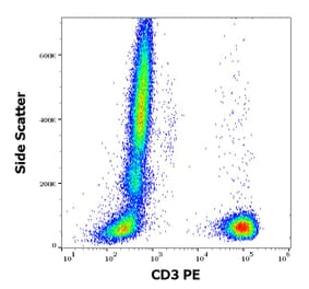 Flow Cytometry - Anti-CD3 Antibody [OKT3] (PE) (A121869)
