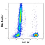 Flow Cytometry - Anti-CD3 Antibody [OKT3] (PE) (A121869)