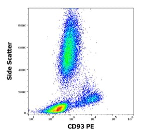 Flow Cytometry - Anti-CD93 Antibody [VIMD2] (PE) (A121876)