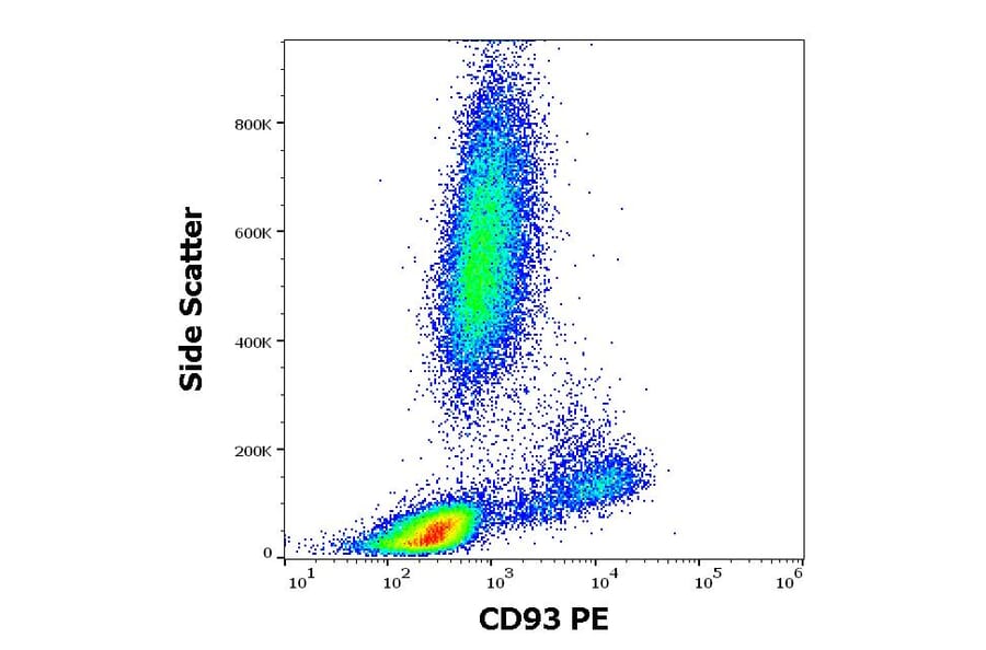 Flow Cytometry - Anti-CD93 Antibody [VIMD2] (PE) (A121876)