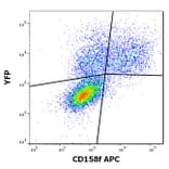 Flow Cytometry - Anti-KIR2DL5A Antibody [UP-R1] (APC) (A121888)