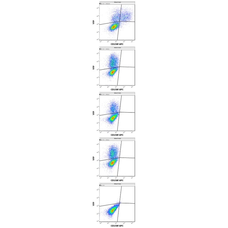 Flow Cytometry - Anti-KIR2DL5A Antibody [UP-R1] (APC) (A121888)