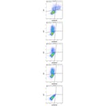 Flow Cytometry - Anti-KIR2DL5A Antibody [UP-R1] (APC) (A121888)