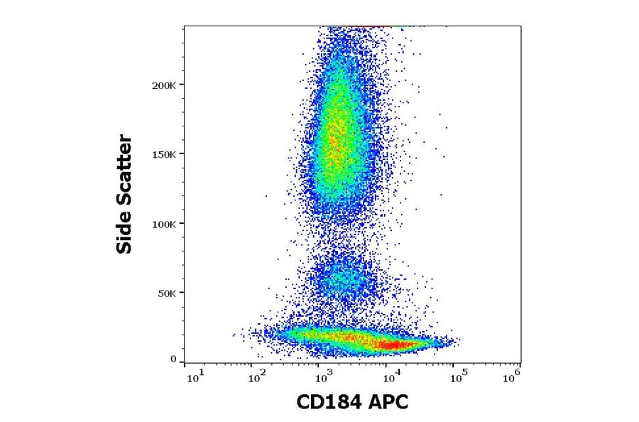 Flow Cytometry - Anti-CXCR4 Antibody [12G5] (APC) (A121891) - Antibodies.com
