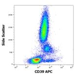 Flow Cytometry - Anti-CD39 Antibody [TU66] (APC) (A121907) - Antibodies.com