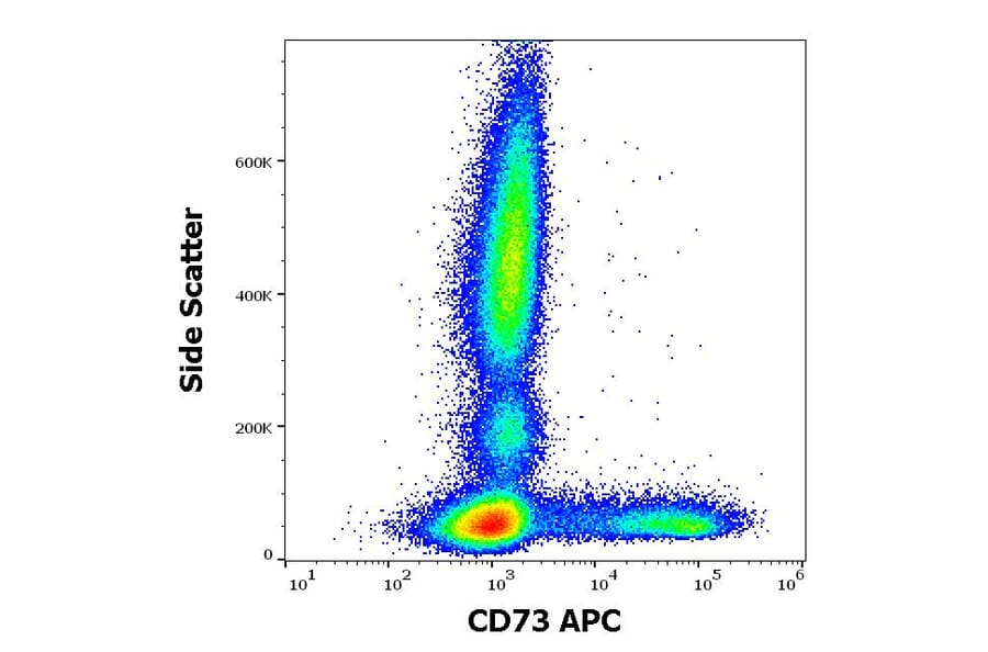 Flow Cytometry - Anti-CD73 Antibody [AD2] (APC) (A121913) - Antibodies.com