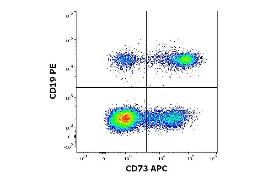 Flow Cytometry - Anti-CD73 Antibody [AD2] (APC) (A121912) - Antibodies.com