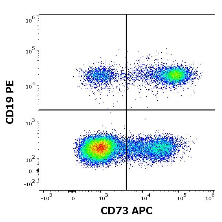 Flow Cytometry - Anti-CD73 Antibody [AD2] (APC) (A121912) - Antibodies.com