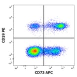 Flow Cytometry - Anti-CD73 Antibody [AD2] (APC) (A121912) - Antibodies.com