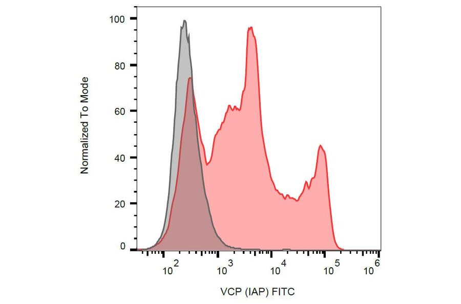 Flow Cytometry - Anti-VCP Antibody [Hs-14] (FITC) (A121918)