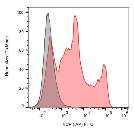 Flow Cytometry - Anti-VCP Antibody [Hs-14] (FITC) (A121918)