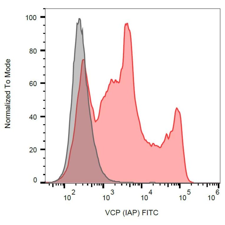 Flow Cytometry - Anti-VCP Antibody [Hs-14] (FITC) (A121918)