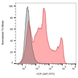 Flow Cytometry - Anti-VCP Antibody [Hs-14] (FITC) (A121918)