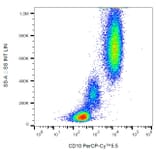 Flow Cytometry - Anti-CD10 Antibody [MEM-78] (PerCP-Cyanine 5.5) (A121919) - Antibodies.com