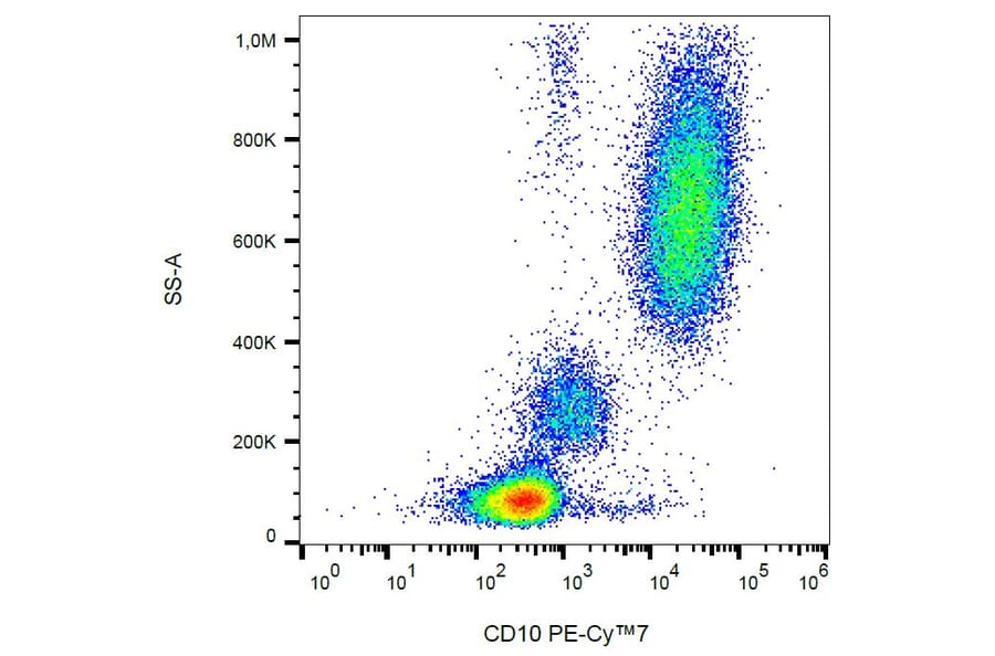 Flow Cytometry - Anti-CD10 Antibody [MEM-78] (PE-Cyanine 7) (A121972) - Antibodies.com
