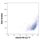 Flow Cytometry - Anti-CD144 Antibody [55-7H1] (PE-Cyanine 7) (A121980) - Antibodies.com