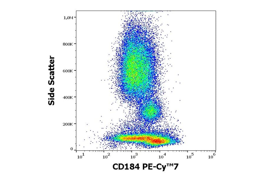 Flow Cytometry - Anti-CXCR4 Antibody [12G5] (PE-Cyanine 7) (A121987) - Antibodies.com