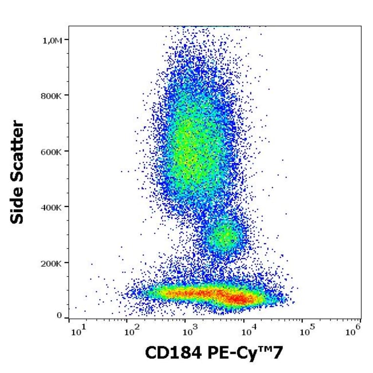 Flow Cytometry - Anti-CXCR4 Antibody [12G5] (PE-Cyanine 7) (A121987) - Antibodies.com