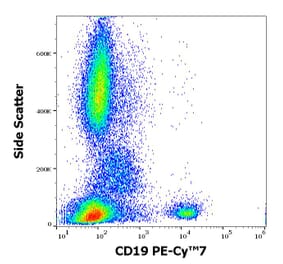 Flow Cytometry - Anti-CD19 Antibody [4G7] (PE-Cyanine 7) (A121987) - Antibodies.com