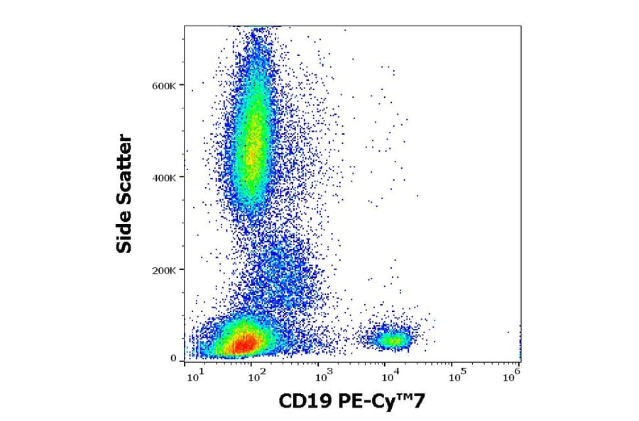 Flow Cytometry - Anti-CD19 Antibody [4G7] (PE-Cyanine 7) (A121987) - Antibodies.com