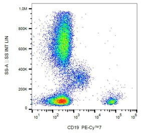 Flow Cytometry - Anti-CD19 Antibody [LT19] (PE-Cyanine 7) (A121988) - Antibodies.com