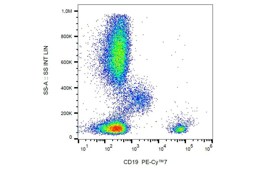 Flow Cytometry - Anti-CD19 Antibody [LT19] (PE-Cyanine 7) (A121988) - Antibodies.com