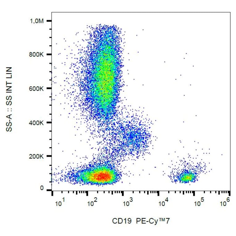 Flow Cytometry - Anti-CD19 Antibody [LT19] (PE-Cyanine 7) (A121988) - Antibodies.com