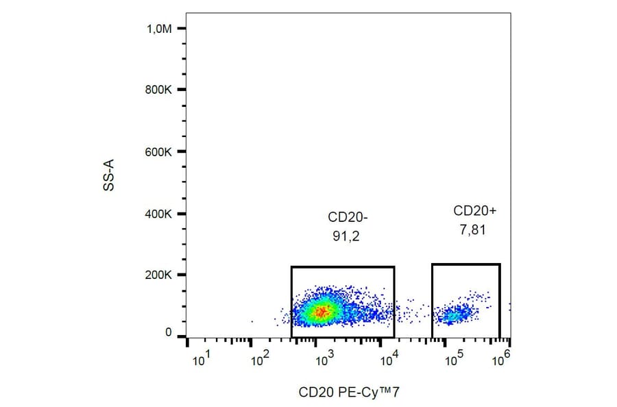 Flow Cytometry - Anti-CD20 Antibody [2H7] (PE-Cyanine 7) (A121990) - Antibodies.com