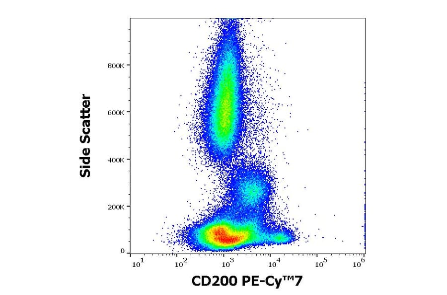 Flow Cytometry - Anti-CD200 Antibody [OX-104] (PE-Cyanine 7) (A121992) - Antibodies.com