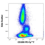 Flow Cytometry - Anti-CD200 Antibody [OX-104] (PE-Cyanine 7) (A121992) - Antibodies.com