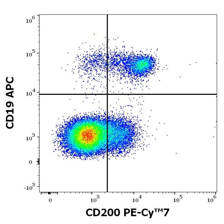 Flow Cytometry - Anti-CD200 Antibody [OX-104] (PE-Cyanine 7) (A121991) - Antibodies.com