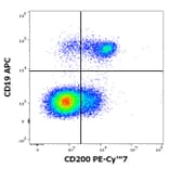 Flow Cytometry - Anti-CD200 Antibody [OX-104] (PE-Cyanine 7) (A121991) - Antibodies.com
