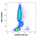 Flow Cytometry - Anti-CD203c Antibody [NP4D6] (PE-Cyanine 7) (A121993)