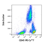 Flow Cytometry - Anti-CD45 Antibody [2D1] (PE-Cyanine 7) (A122014) - Antibodies.com