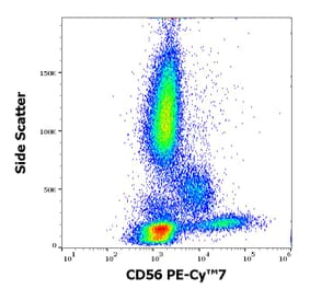 Flow Cytometry - Anti-NCAM1 Antibody [MEM-188] (PE-Cyanine 7) (A122019)