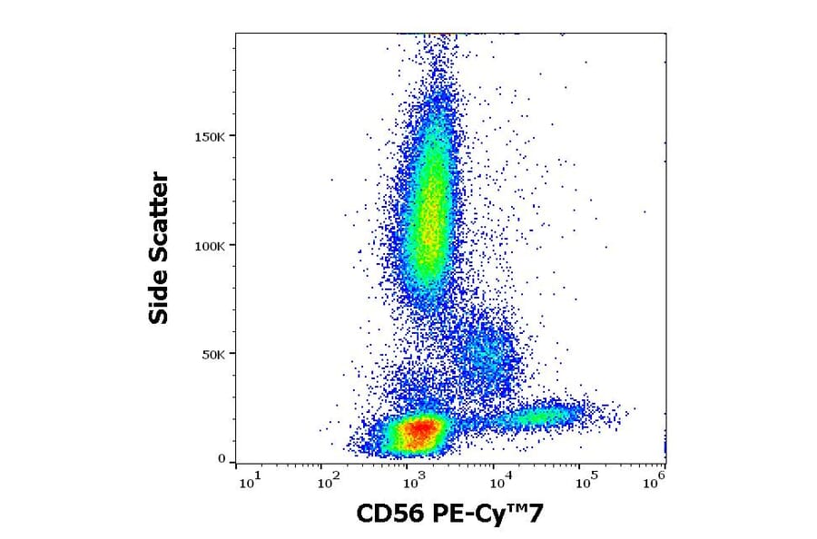 Flow Cytometry - Anti-NCAM1 Antibody [MEM-188] (PE-Cyanine 7) (A122019)