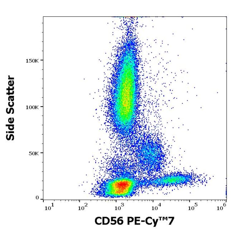 Flow Cytometry - Anti-NCAM1 Antibody [MEM-188] (PE-Cyanine 7) (A122019)